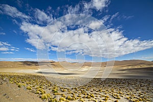 View from the scenic roadÂ toÂ El Tatio Geysers, Chile